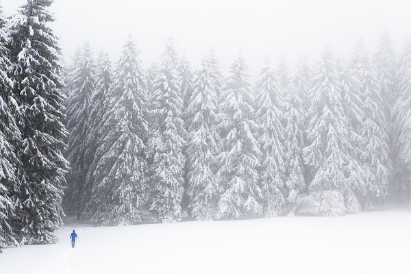 2Premio Primeras nevadas