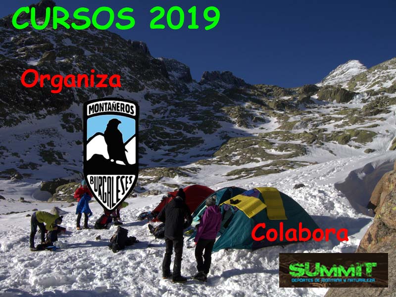 Cartel Cursos 2019