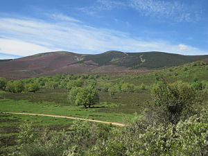 Salida social Montaña: GR-82: Etapa 11 Monterrubio de la Demanda-Pineda de la Sierra