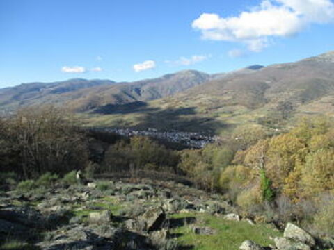 ValleJerte