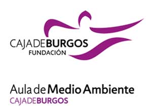 Caja Burgos